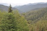 Image of landscape