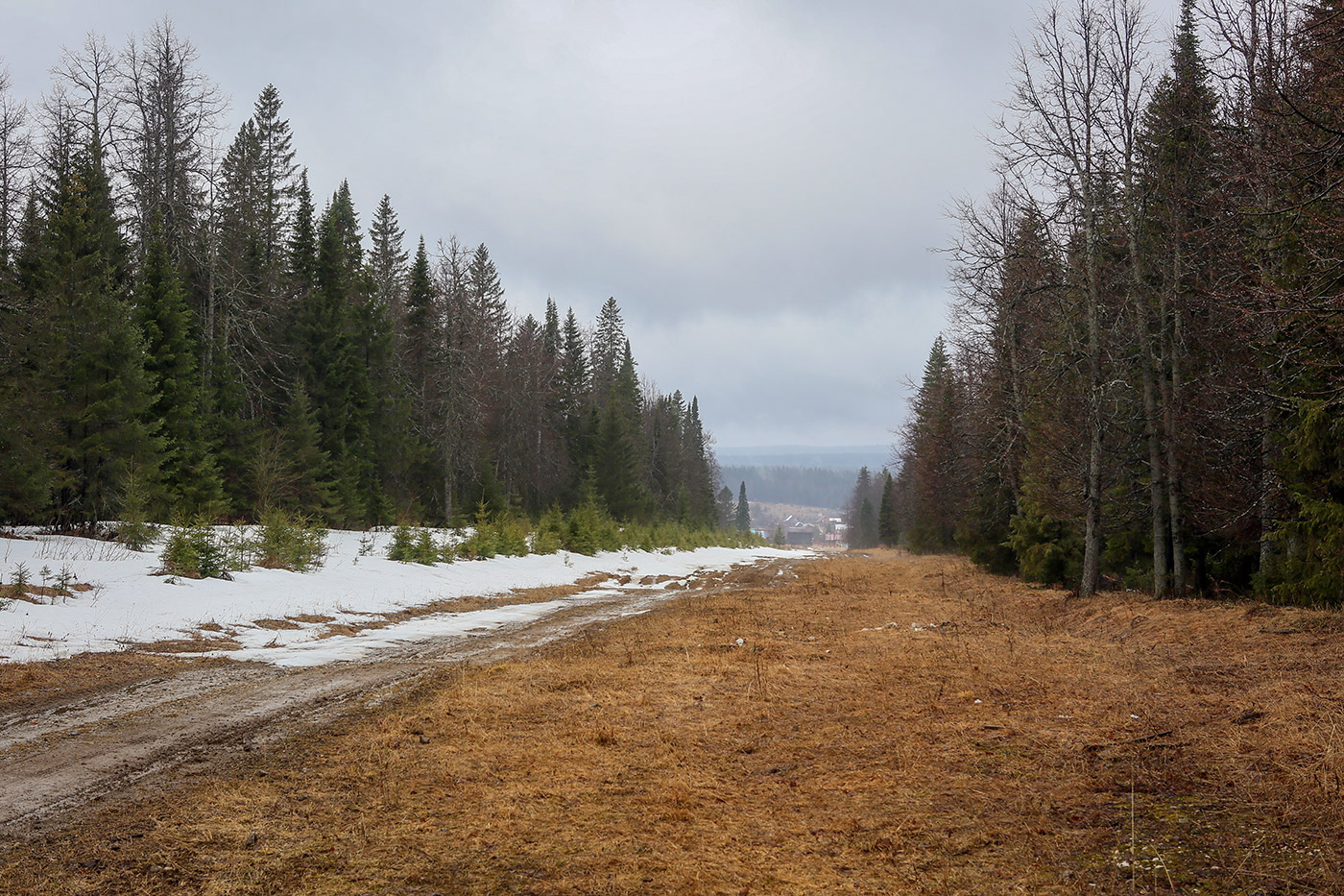 Кын и его окрестности, image of landscape/habitat.