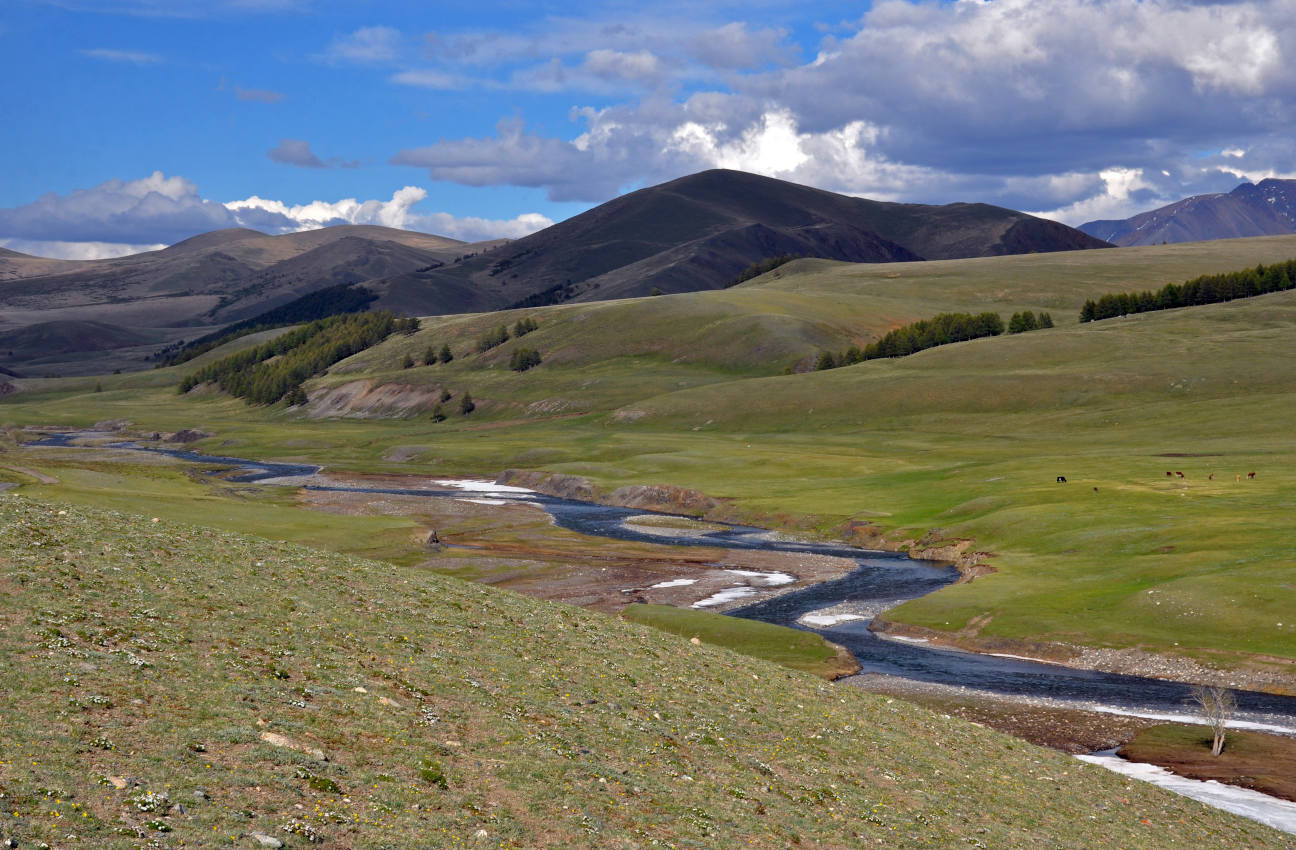 Долина реки Бугузун, image of landscape/habitat.