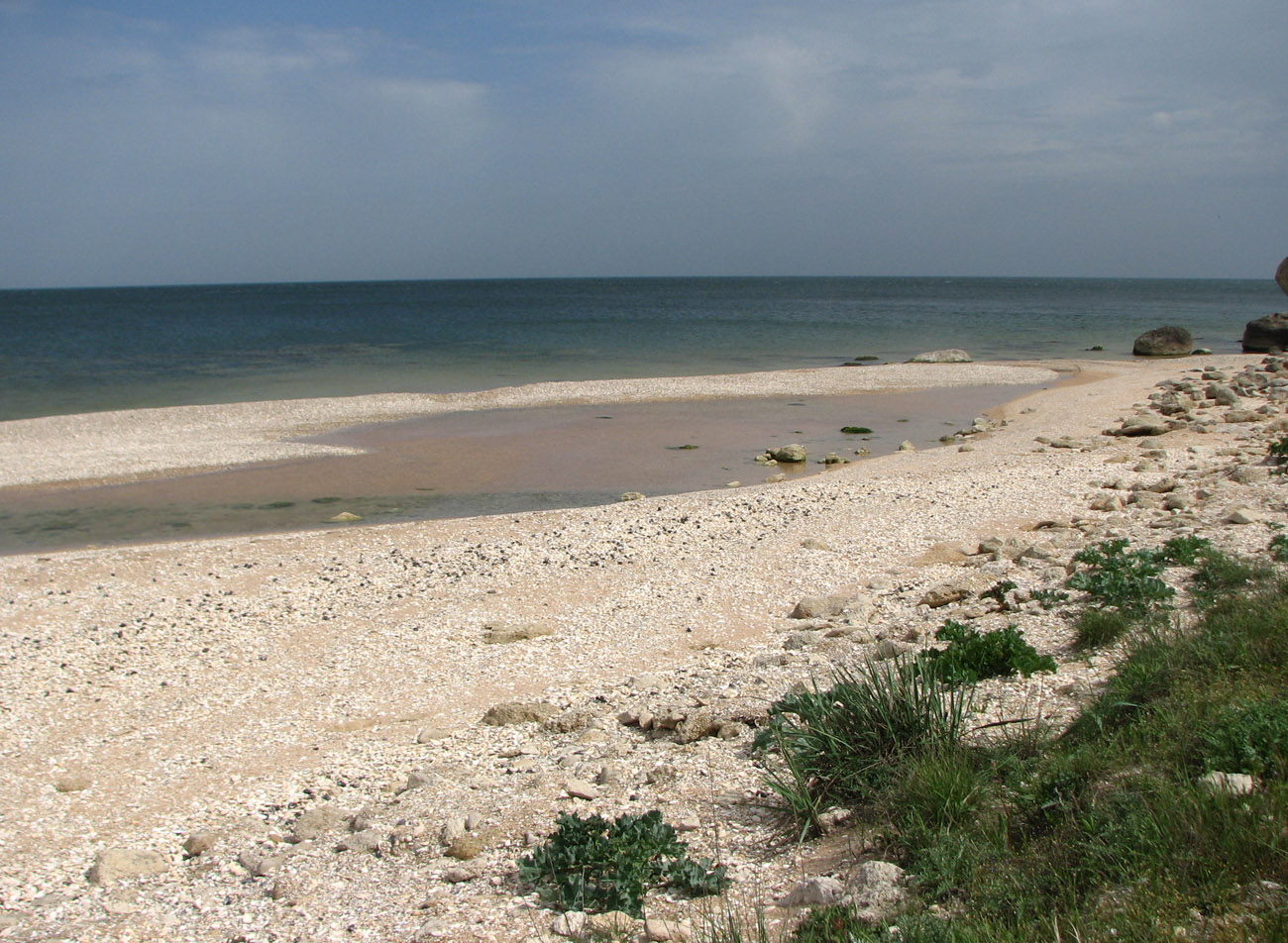 Караларская степь, image of landscape/habitat.