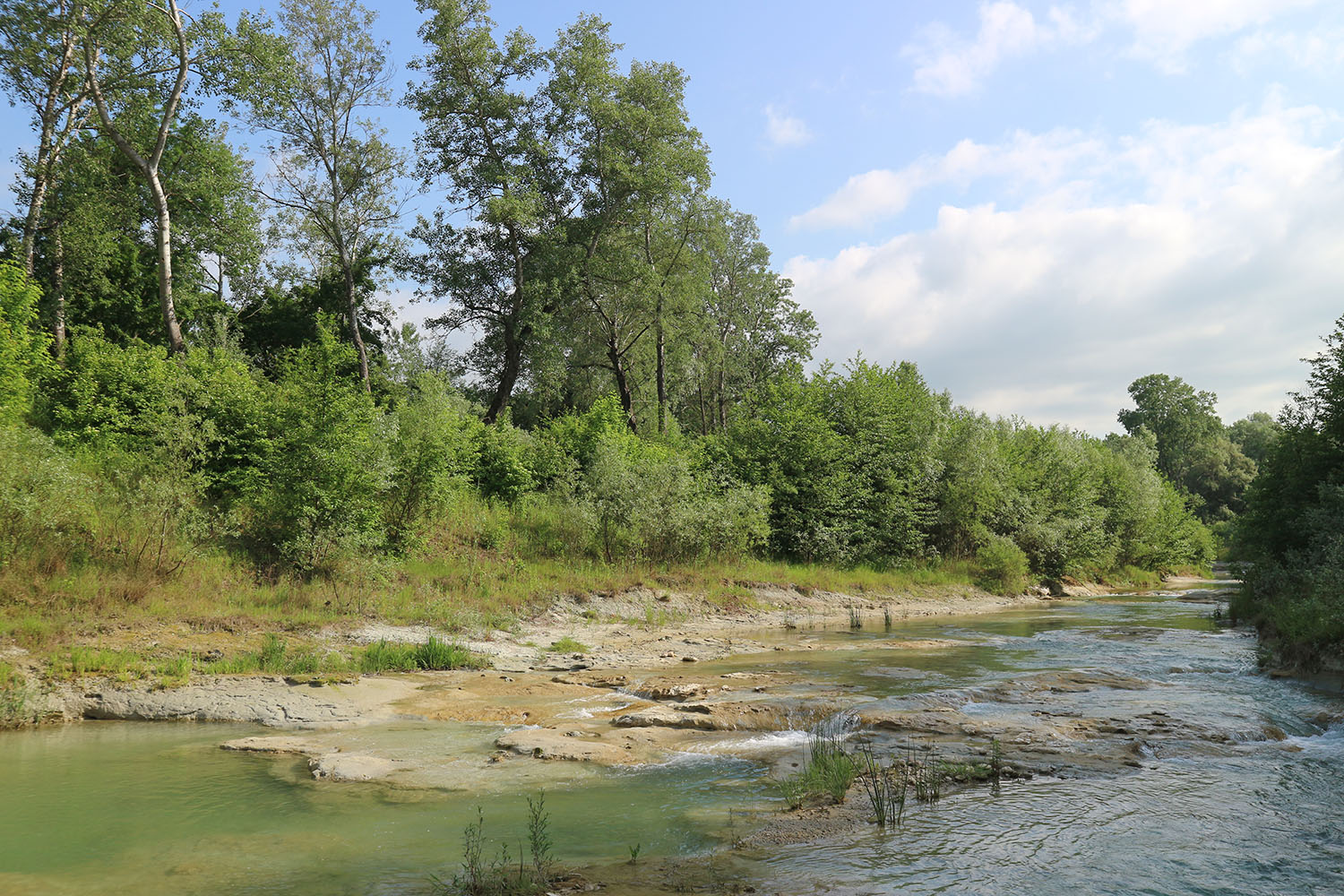 Река Неберджай, image of landscape/habitat.