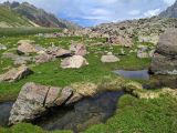 Долина реки Бартуидон, image of landscape/habitat.