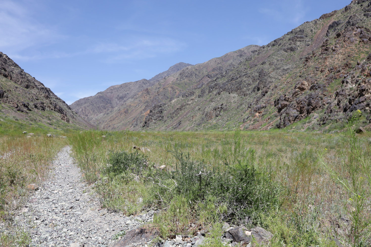 Шылбыр, image of landscape/habitat.