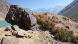 Image of landscape