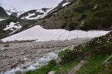 Image of landscape