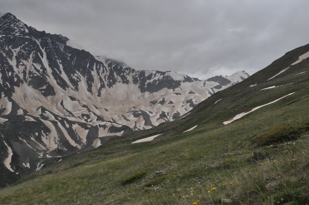 Восточный склон горы Чегет, image of landscape/habitat.