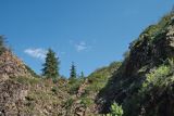 Image of landscape