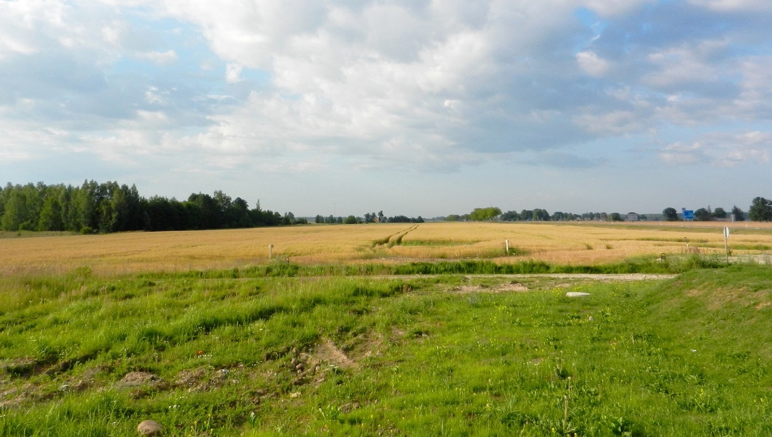 Паневежский район, image of landscape/habitat.