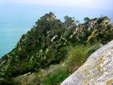 Image of landscape