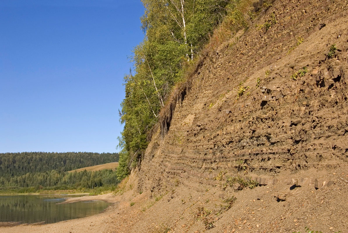 Окрестности деревни Ванькова, image of landscape/habitat.