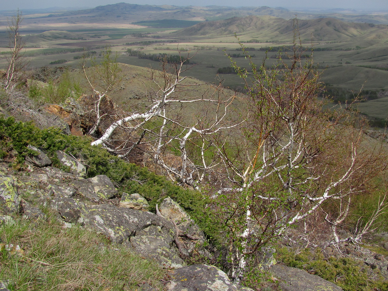 Окрестности горы Акдым, image of landscape/habitat.
