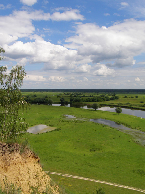 Мезинский НПП, изображение ландшафта.