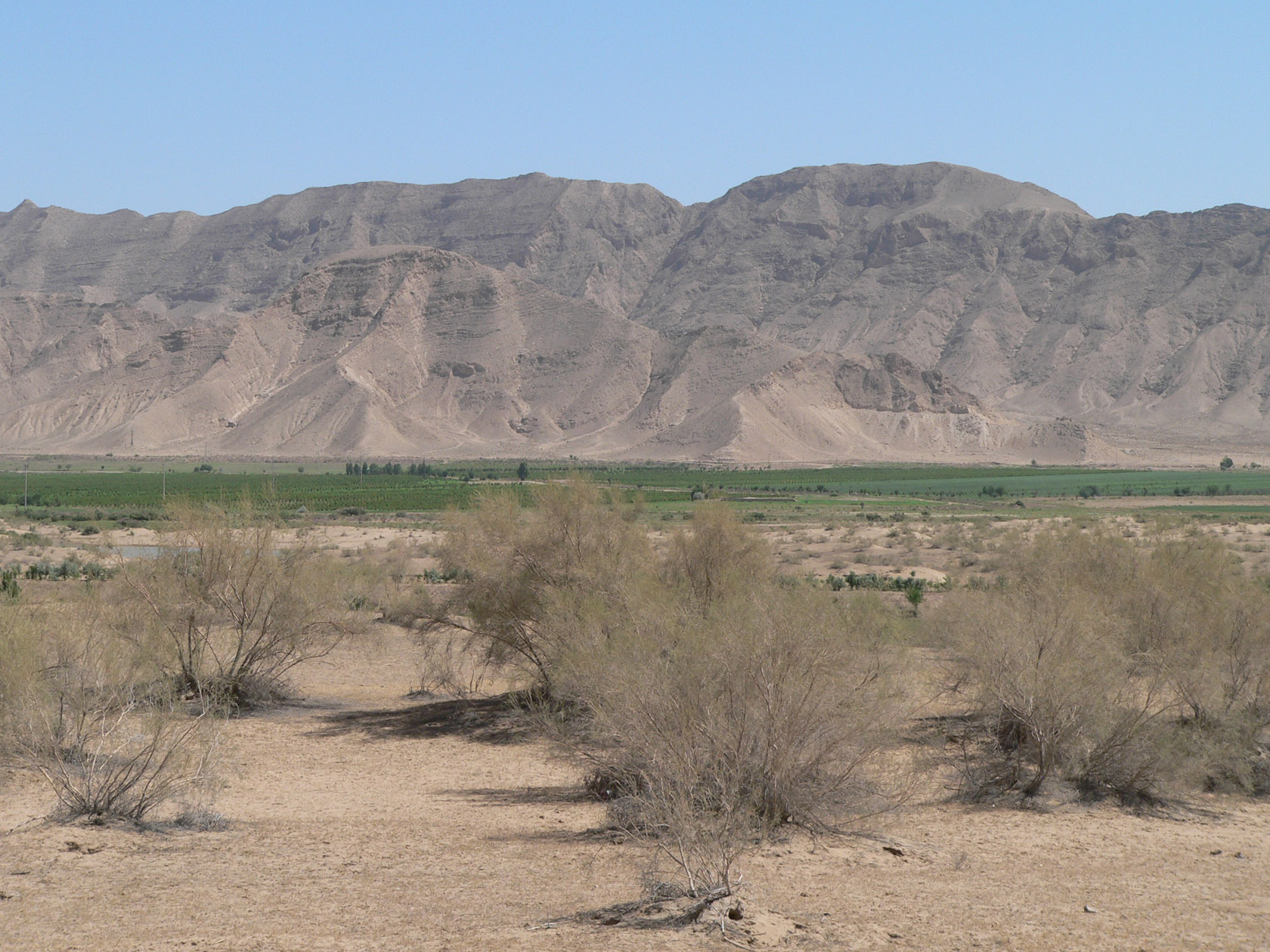 Курджалакум, image of landscape/habitat.