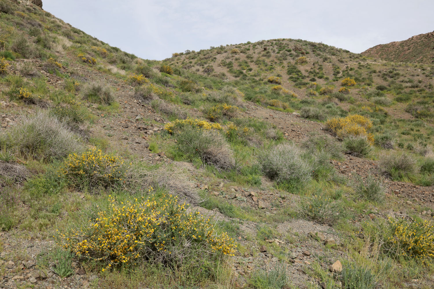 Шылбыр, image of landscape/habitat.