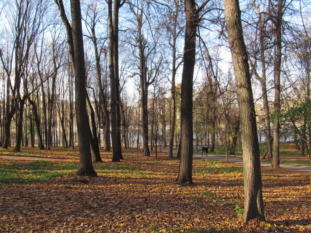 Москва, image of landscape/habitat.