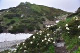 Image of landscape