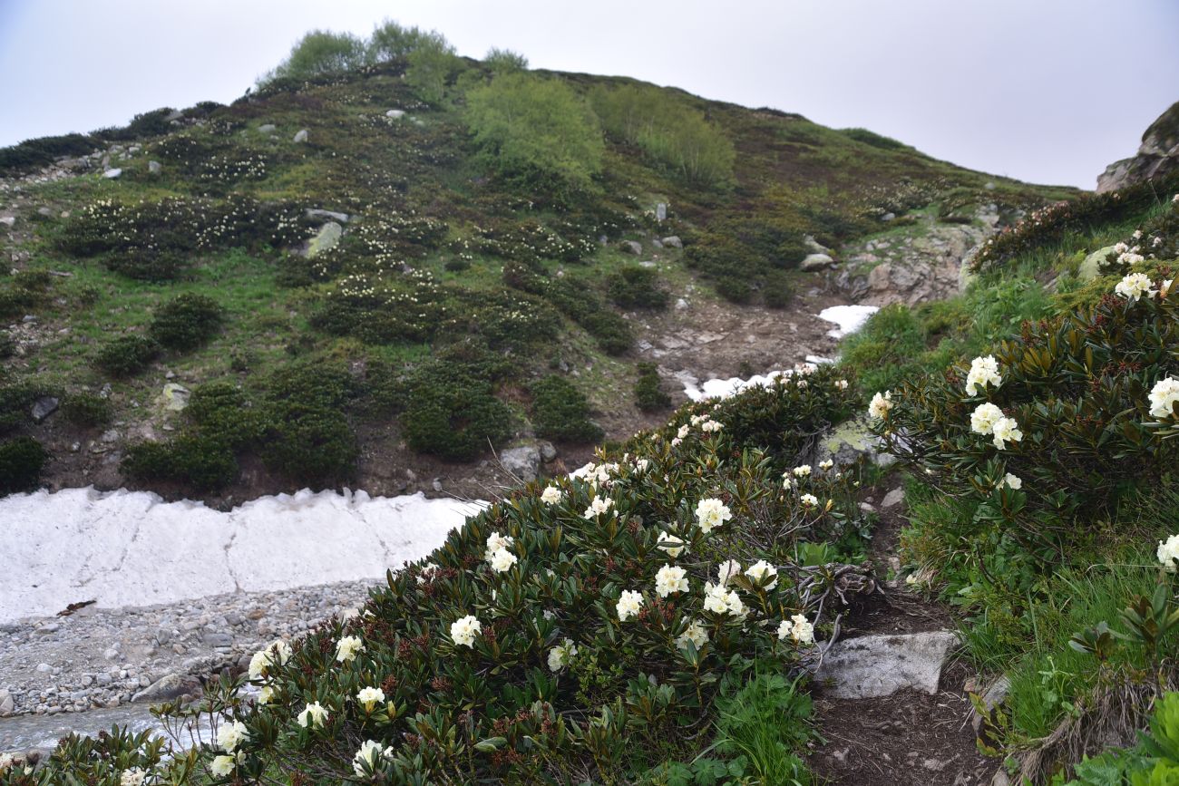 Водопад Медвежий, image of landscape/habitat.