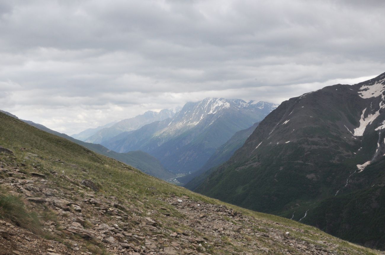Восточный склон горы Чегет, image of landscape/habitat.