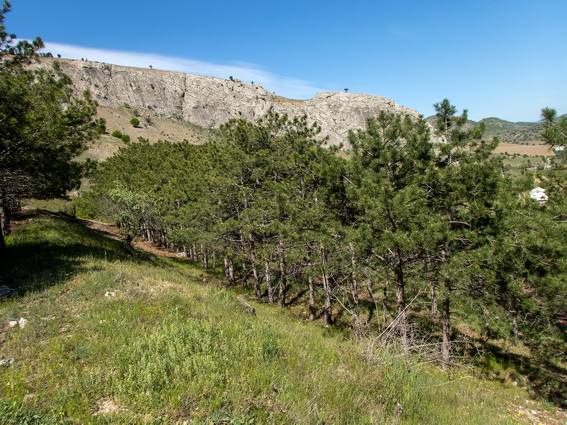 Окрестности села Весёлое, изображение ландшафта.