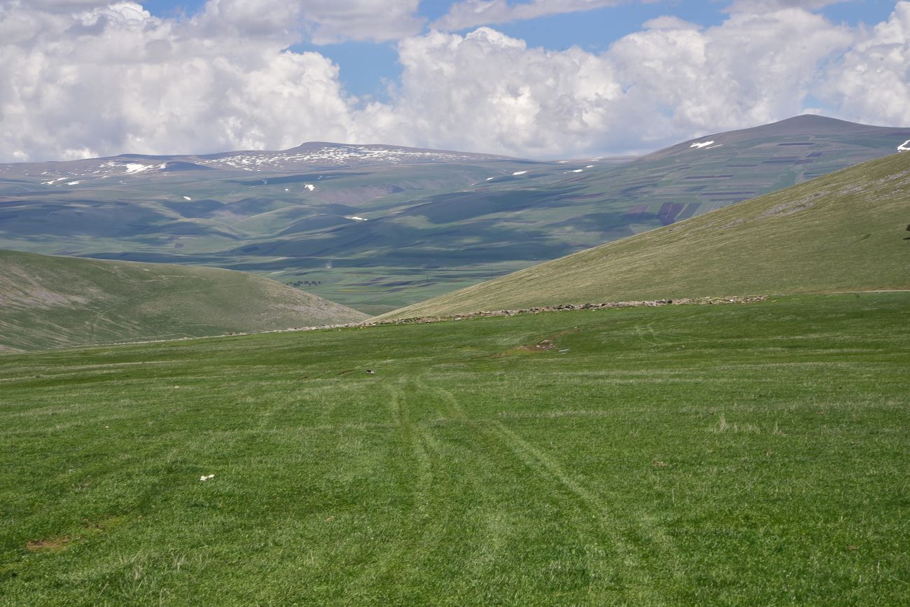 Гора Патара Абули, изображение ландшафта.