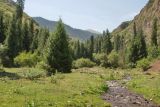 Image of landscape