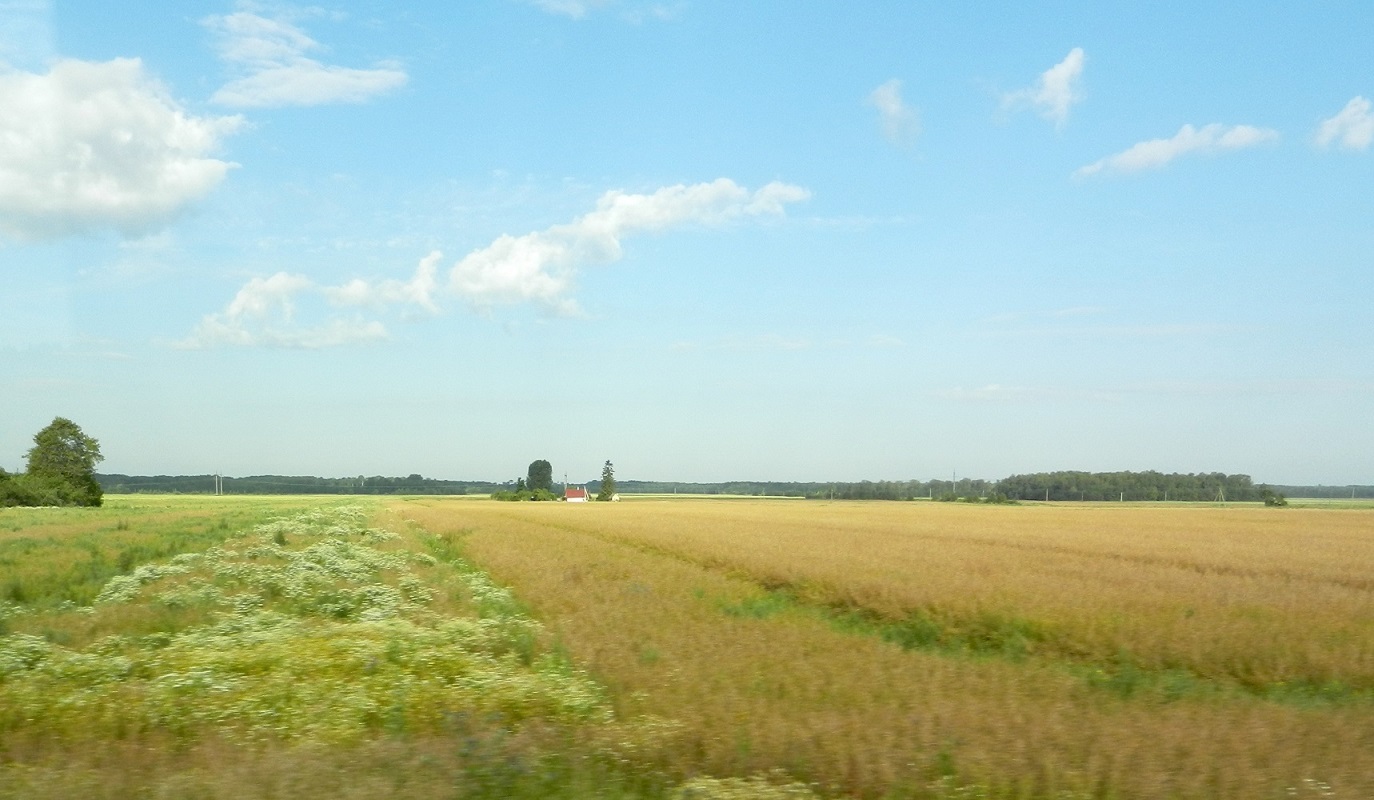 Паневежский район, image of landscape/habitat.