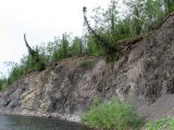 Грубею, image of landscape/habitat.