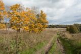 Пятая Гора, image of landscape/habitat.