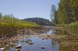 Окрестности деревни Коновалова, image of landscape/habitat.