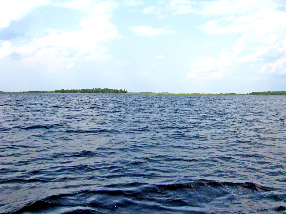 НП Мещёра, image of landscape/habitat.
