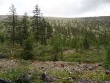 Image of landscape