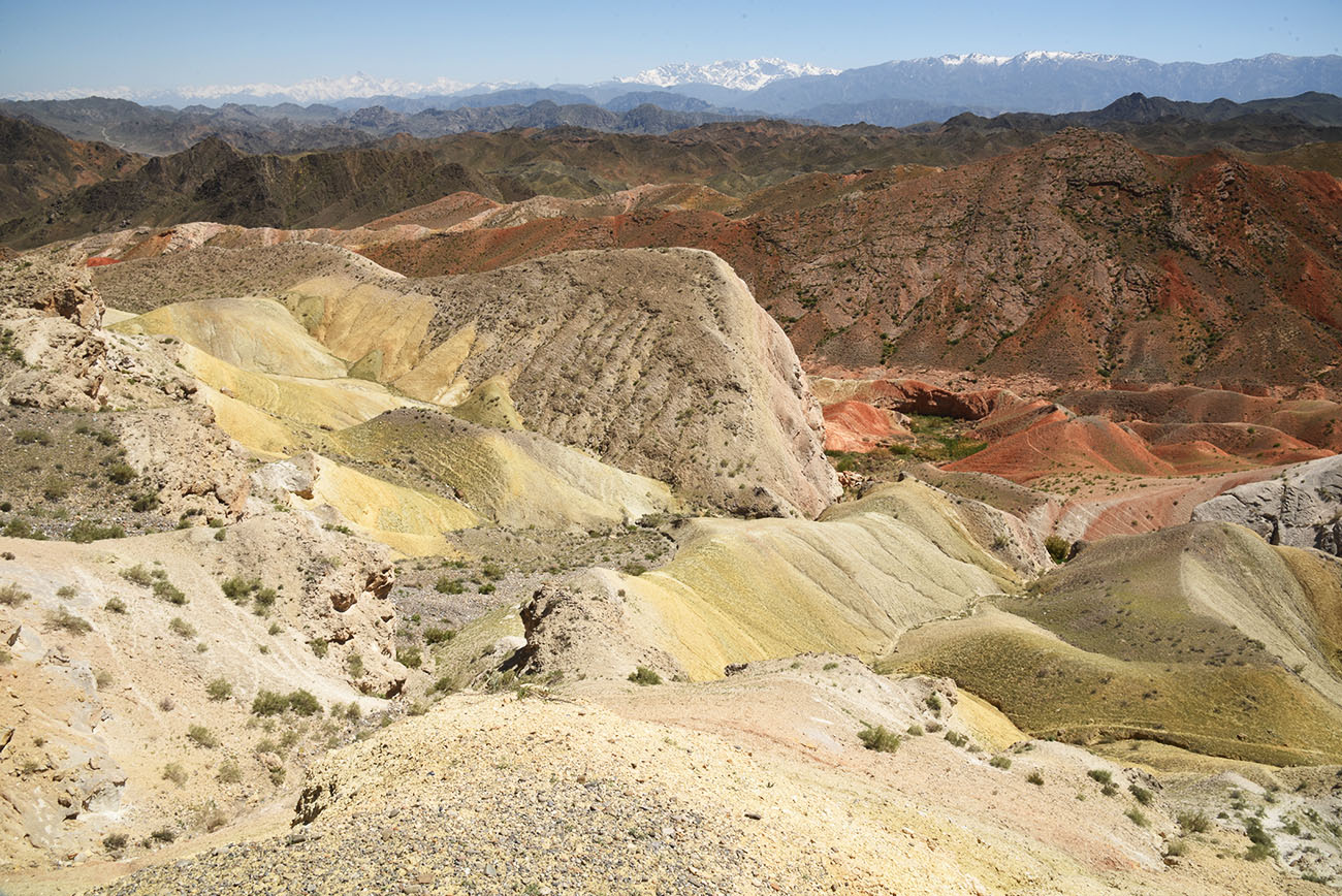 Исфара, image of landscape/habitat.