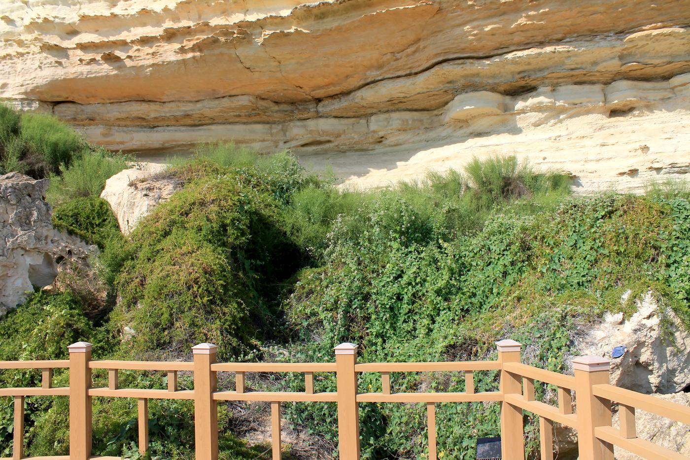 Актау, image of landscape/habitat.
