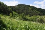 Image of landscape