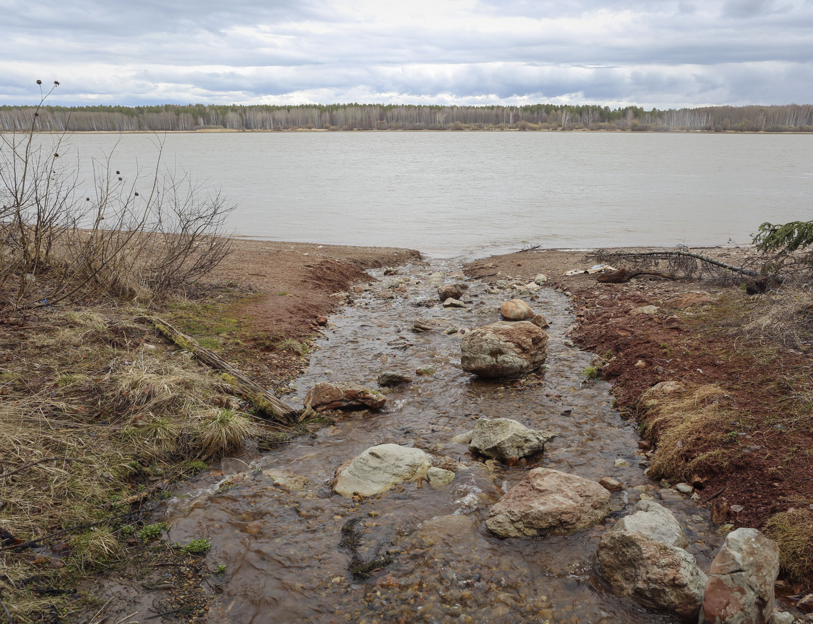 Кунчурихинский бор, image of landscape/habitat.