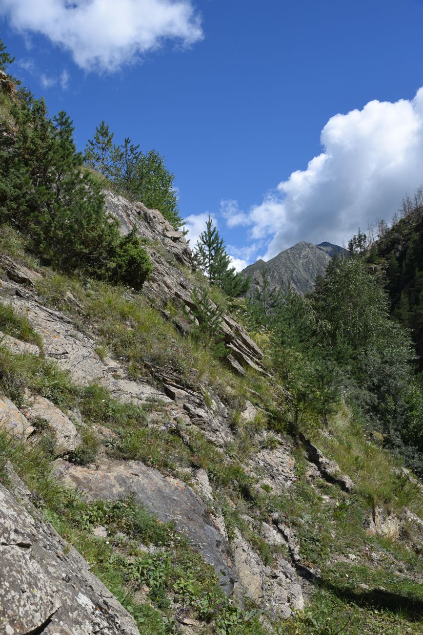 Грузовой подъёмник "Адырсу", изображение ландшафта.