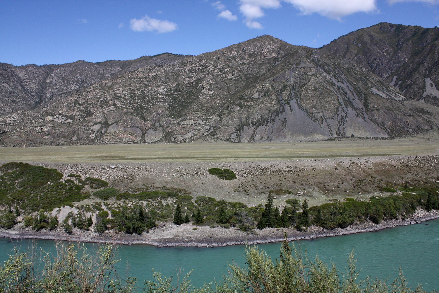 Среднее течение Катуни, image of landscape/habitat.