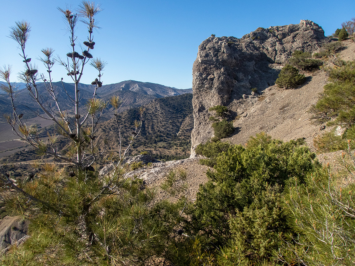 Караул-Оба, image of landscape/habitat.