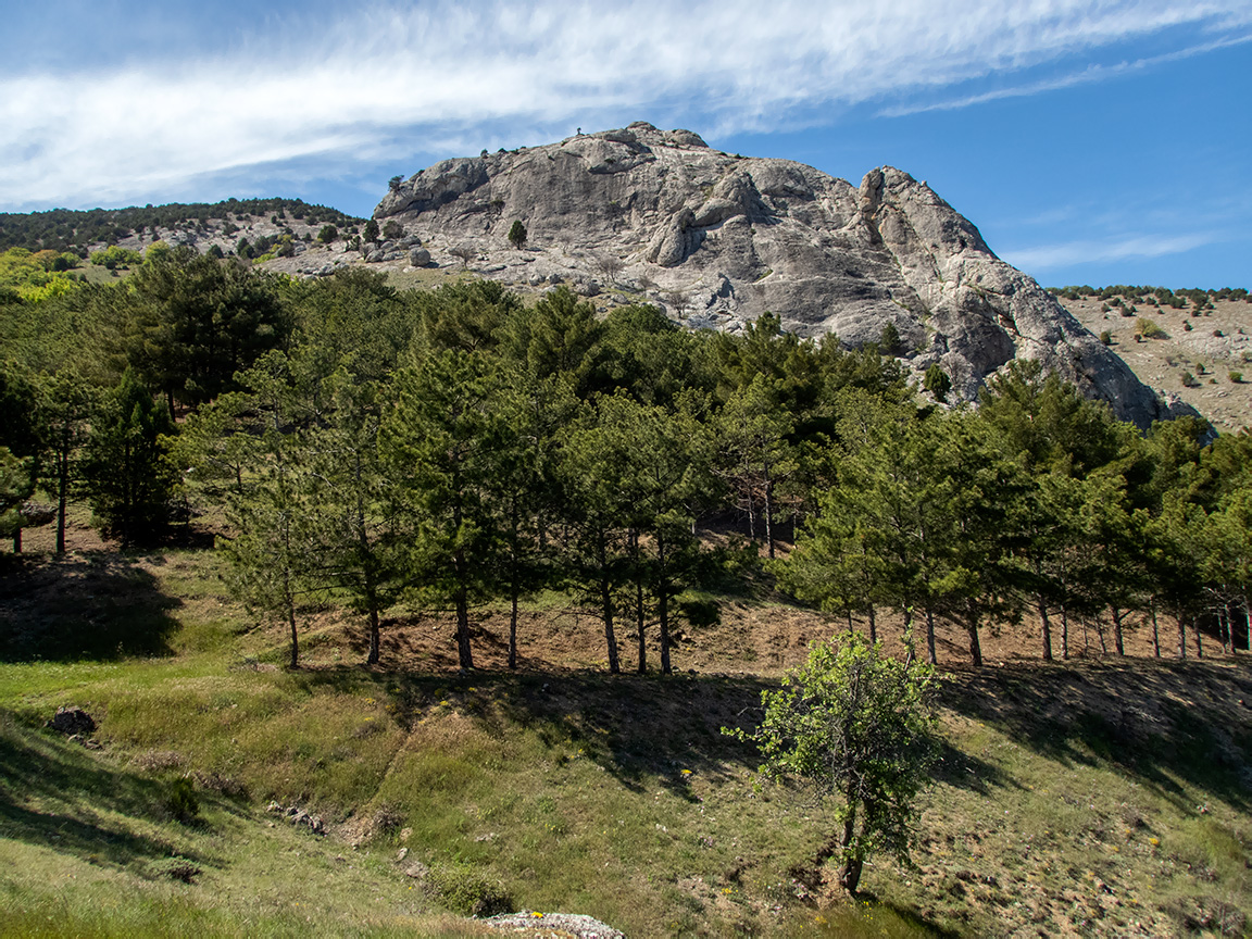 Окрестности села Весёлое, изображение ландшафта.