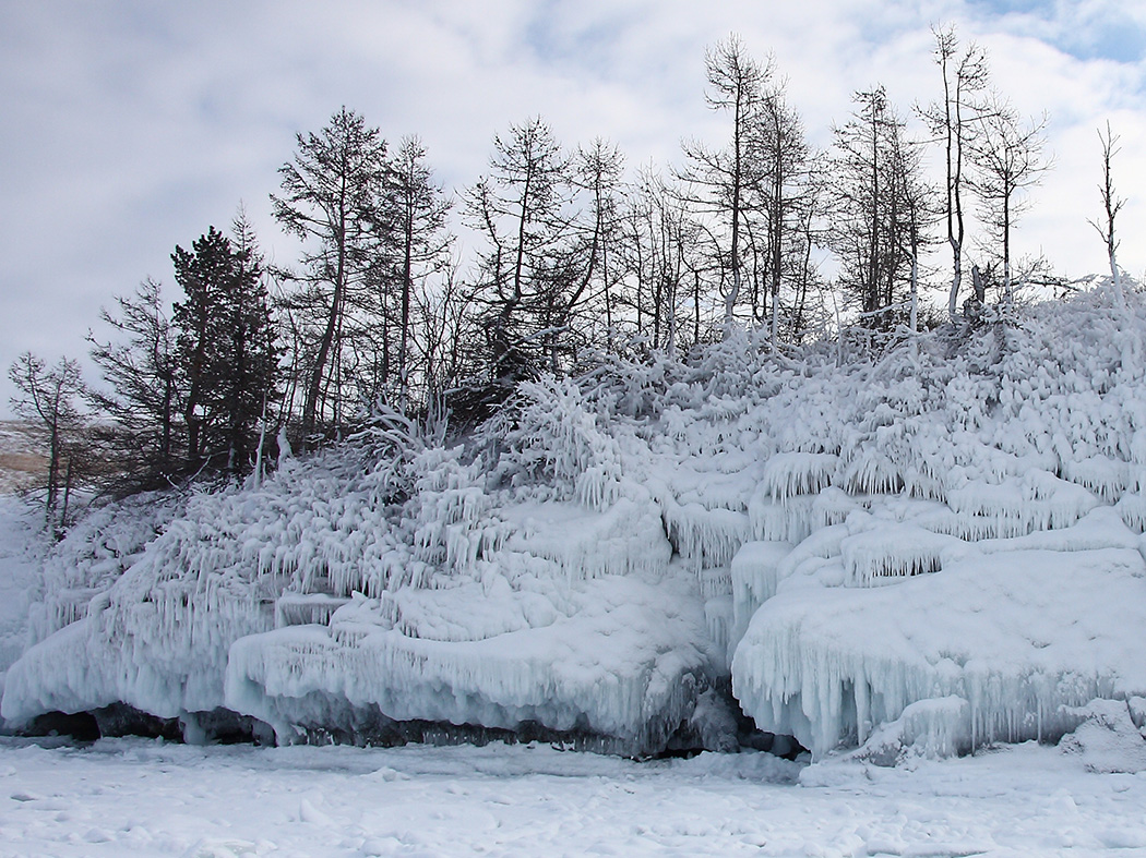 Мыс Уюга, image of landscape/habitat.