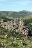 Image of landscape