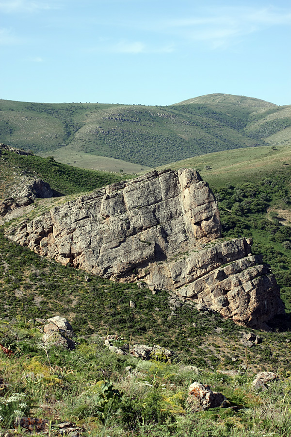 Горы Каракус, image of landscape/habitat.