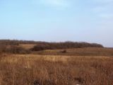 Image of landscape
