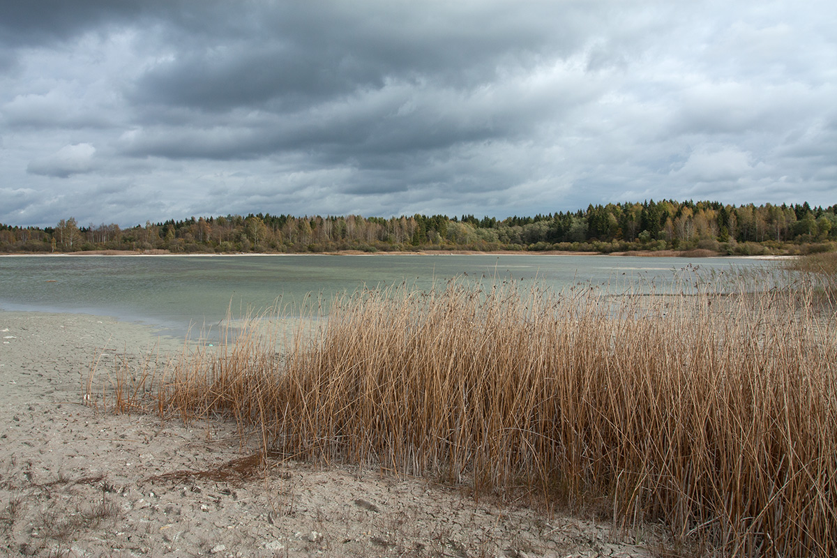 Кюрлевский карьер, image of landscape/habitat.