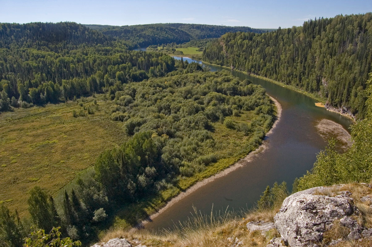 Окрестности деревни Коновалова, image of landscape/habitat.