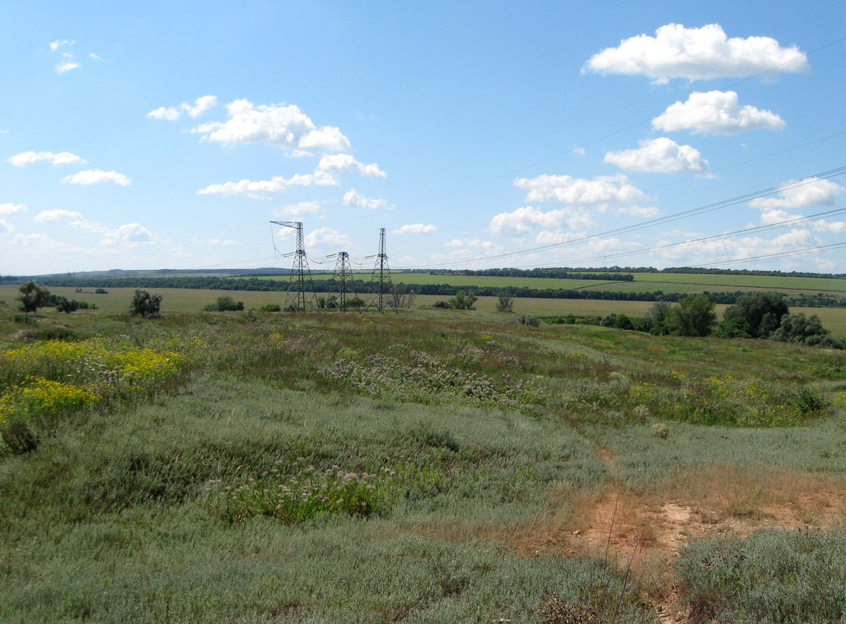 Степь у Дроновки, image of landscape/habitat.