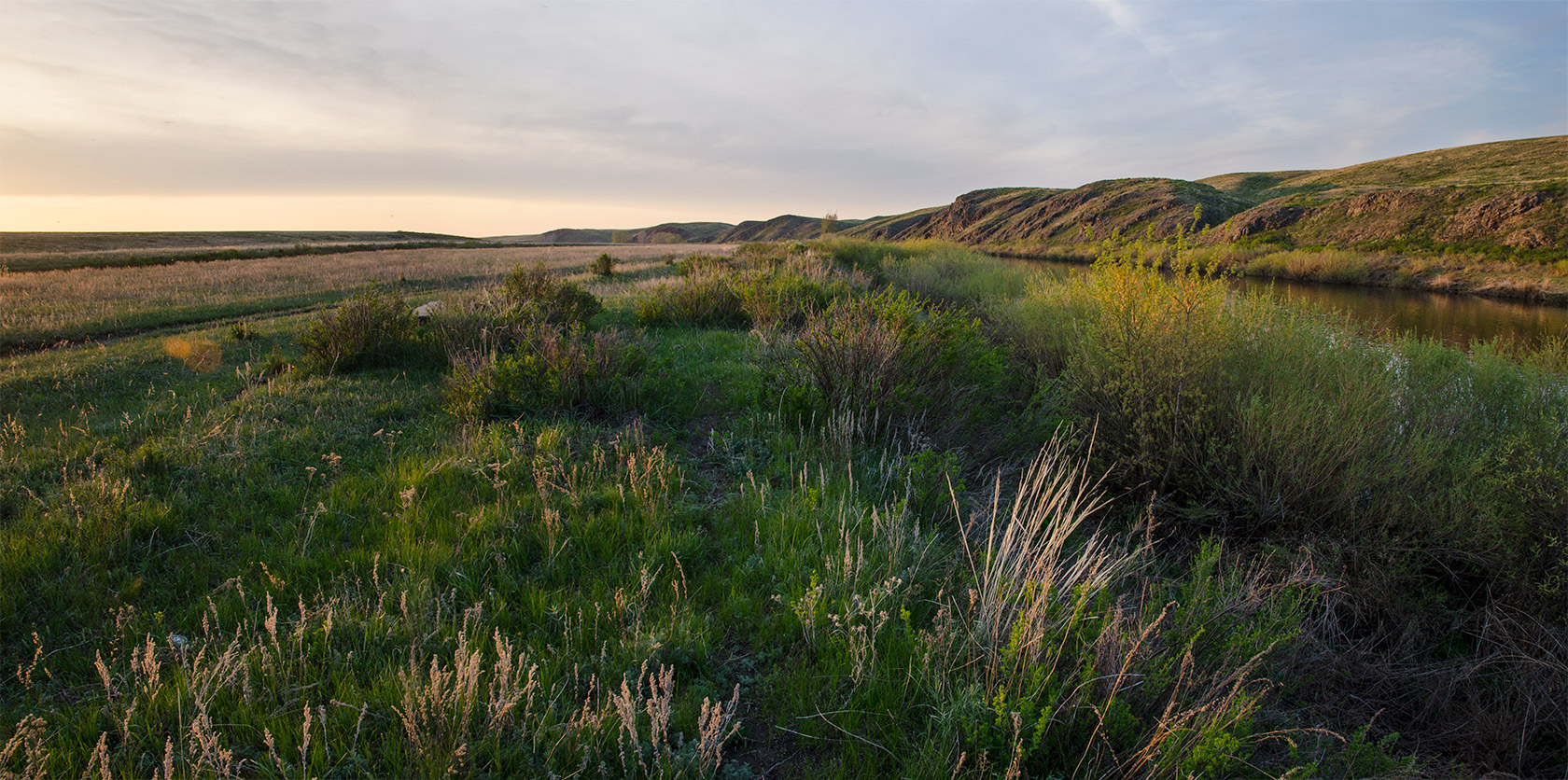 Каменка, image of landscape/habitat.