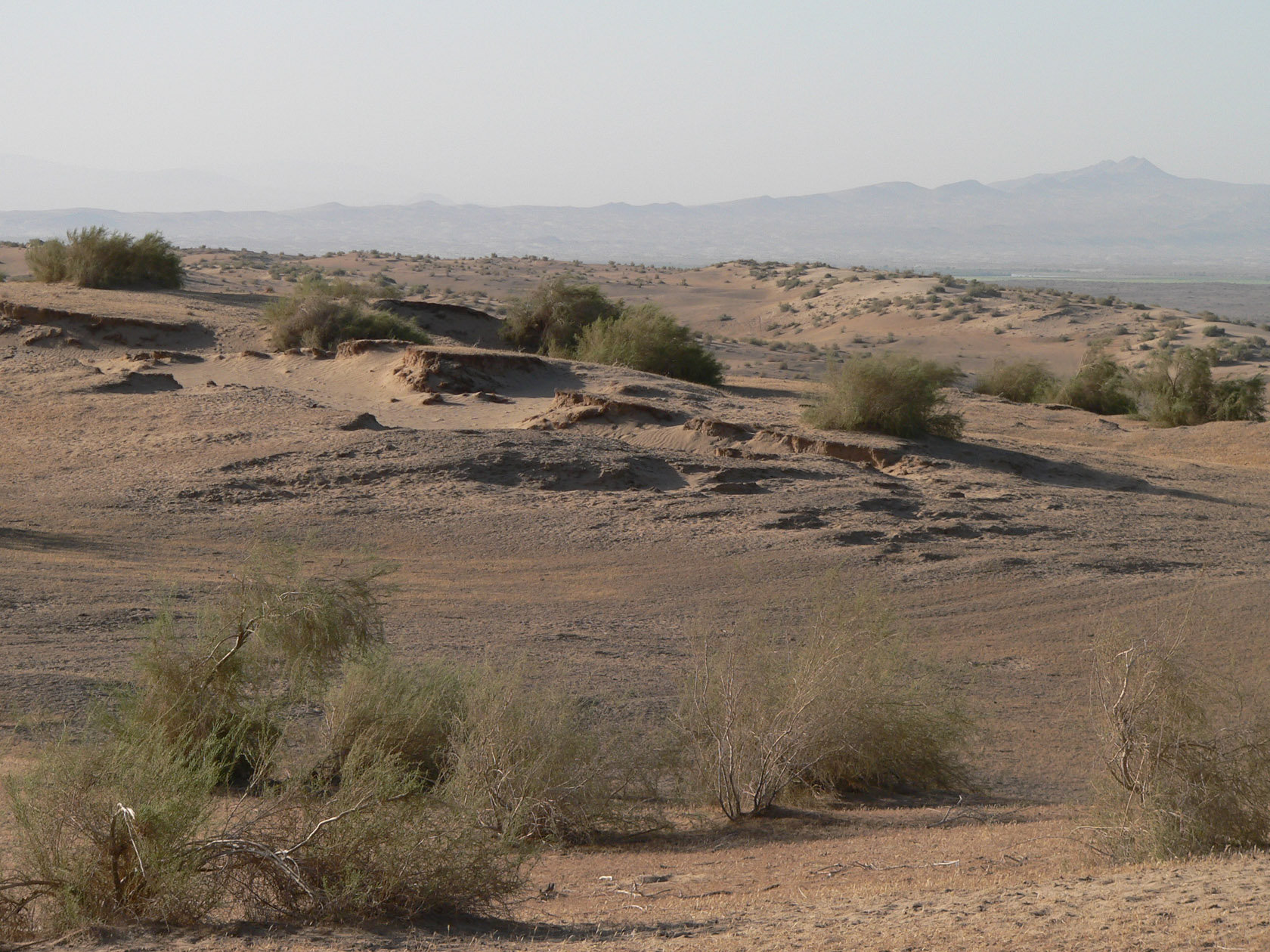 Курджалакум, image of landscape/habitat.