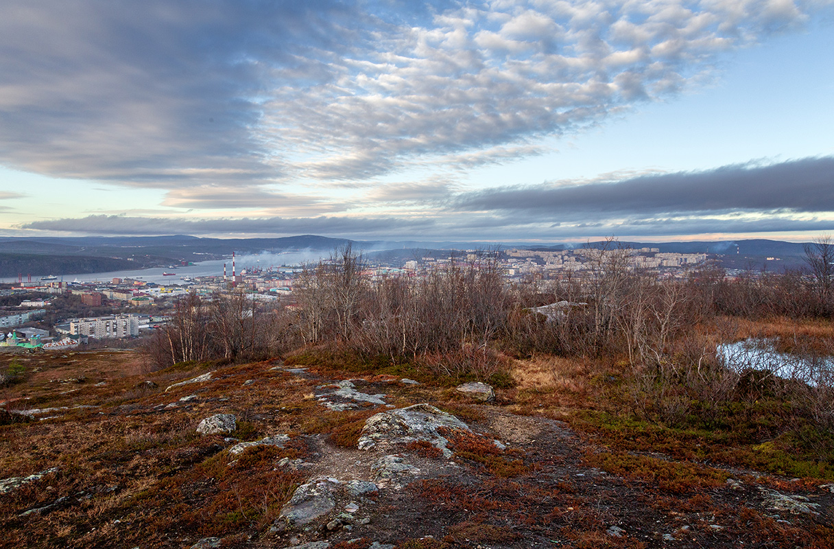 Горелая сопка, image of landscape/habitat.