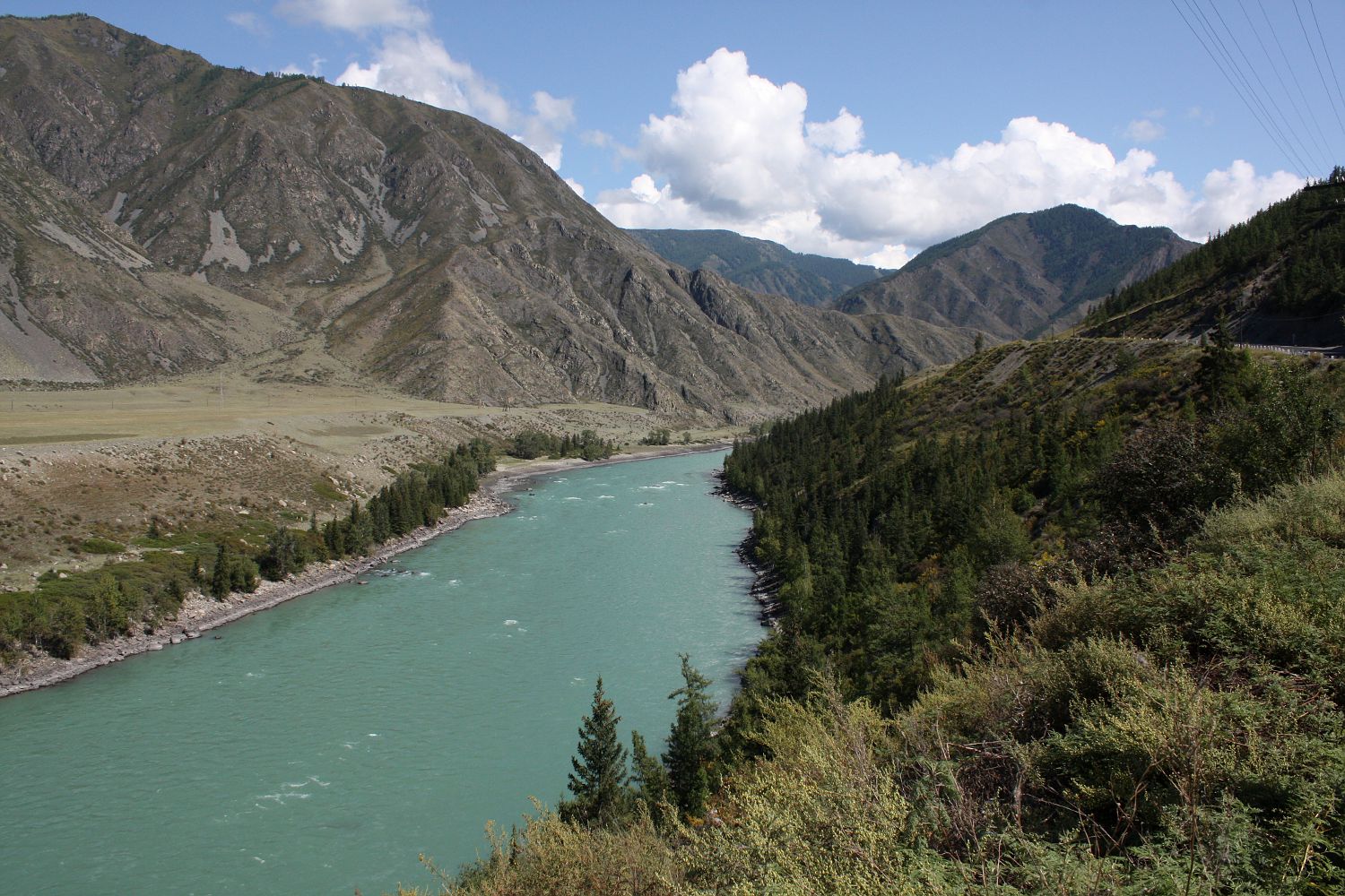 Среднее течение Катуни, image of landscape/habitat.